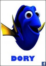 Dory