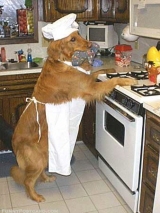 Chef1