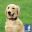 finnigan1957