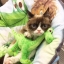 Cattyh