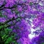 nancyellyn514