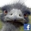 kcharlton