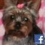mygirladdy