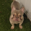 spanky36@bellsouth.net