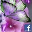 Antoinette Rose1