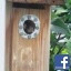 dmc669@aol.com