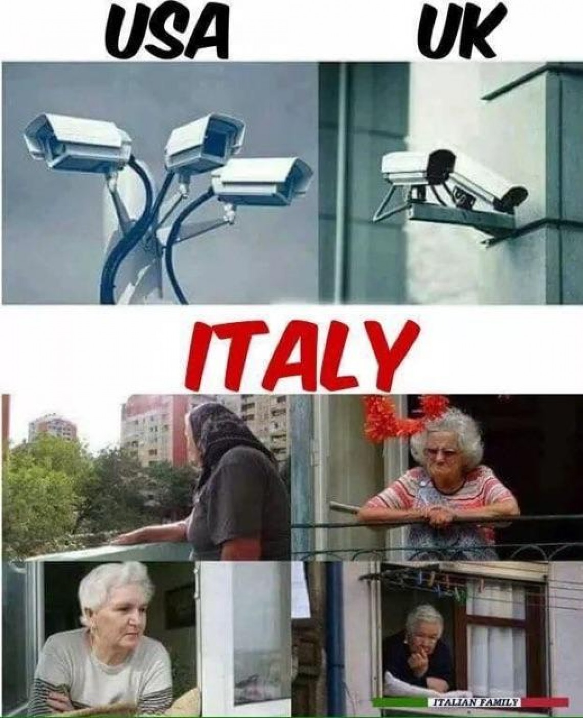 Moma Rosa