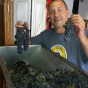 wine making 2014